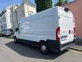 Fiat Ducato - thumbnail 4