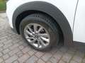 Hyundai TUCSON Tucson 1.7 crdi Comfort 2wd 115cv Bianco - thumbnail 15