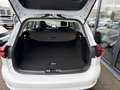 Ford Focus Turnier 1.5TDCI AUTOMATIK Titanium Style Blanc - thumbnail 24