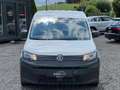 Volkswagen Caddy 2.0 TDI - 1. Besitz - Netto 11.659€ - Klima - Blu Weiß - thumbnail 6