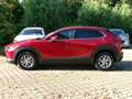 Mazda CX-30 SKYACTIV-G 2.0 M Hybrid Standheizung CX-30 SKYACTI Rosso - thumbnail 3