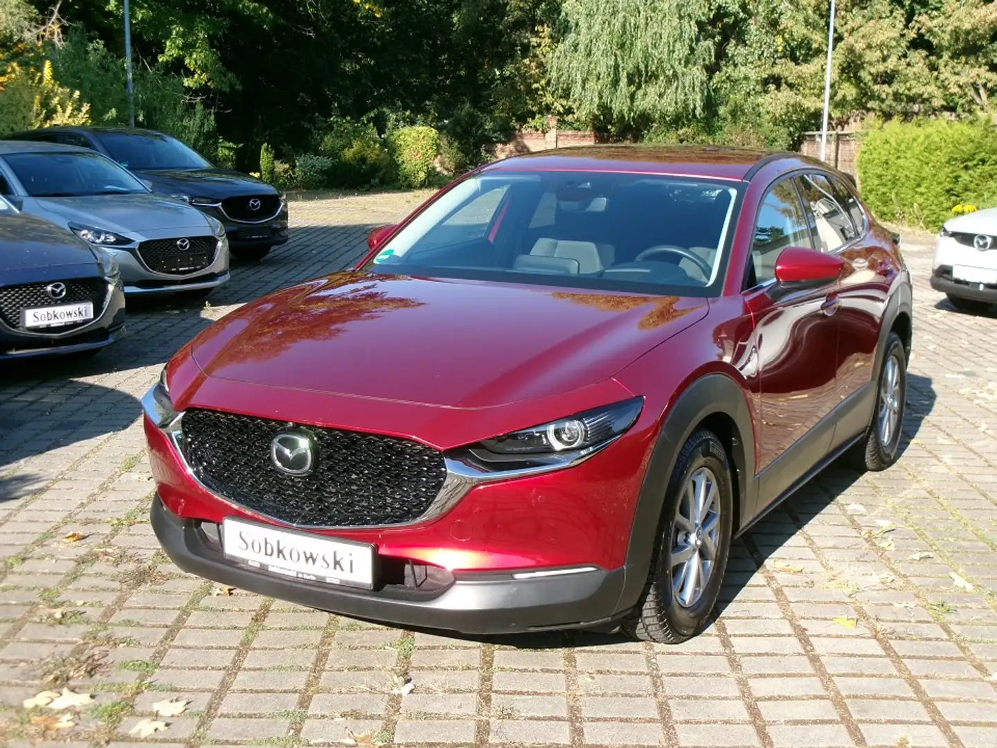 Mazda CX-30 SKYACTIV-G 2.0 M Hybrid Standheizung CX-30 SKYACTI Rouge - 2