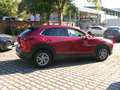 Mazda CX-30 SKYACTIV-G 2.0 M Hybrid Standheizung CX-30 SKYACTI Rosso - thumbnail 6