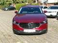 Mazda CX-30 SKYACTIV-G 2.0 M Hybrid Standheizung CX-30 SKYACTI Rouge - thumbnail 3