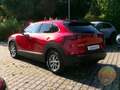 Mazda CX-30 SKYACTIV-G 2.0 M Hybrid Standheizung CX-30 SKYACTI Rosso - thumbnail 4