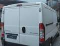 Citroen Jumper Jumper 33 L1H1 Weiß - thumbnail 5