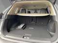 Nissan X-Trail N-Connecta e-Power e-4orce 1.5 VC-T 4x4 19Zoll Gris - thumbnail 12