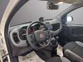 Fiat Panda Panda 1.0 FireFly S&S Hybrid City Cross Blanc - thumbnail 10