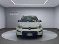 Fiat Panda Panda 1.0 FireFly S&S Hybrid City Cross Blanc - thumbnail 2