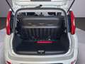 Fiat Panda Panda 1.0 FireFly S&S Hybrid City Cross Blanc - thumbnail 15