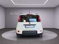 Fiat Panda Panda 1.0 FireFly S&S Hybrid City Cross Blanc - thumbnail 5