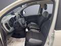 Fiat Panda Panda 1.0 FireFly S&S Hybrid City Cross Blanc - thumbnail 9
