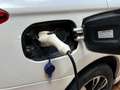 Mitsubishi Outlander Outlander PHEV Kaiteki 4WD Kaiteki Blanco - thumbnail 13