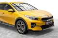 Kia XCeed 1,5 TGDI 48V GPF Gold DCT Beige - thumbnail 11