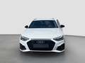 Audi A4 Avant 40 TDI 2x S-line S-tronic Weiß - thumbnail 2