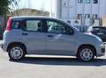 Fiat Panda Panda 1.2 Easy s Grau - thumbnail 17