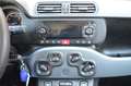 Fiat Panda Panda 1.2 Easy s Grau - thumbnail 13