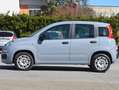 Fiat Panda Panda 1.2 Easy s Grau - thumbnail 16