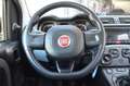 Fiat Panda Panda 1.2 Easy s Grau - thumbnail 11