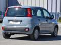 Fiat Panda Panda 1.2 Easy s Grau - thumbnail 3