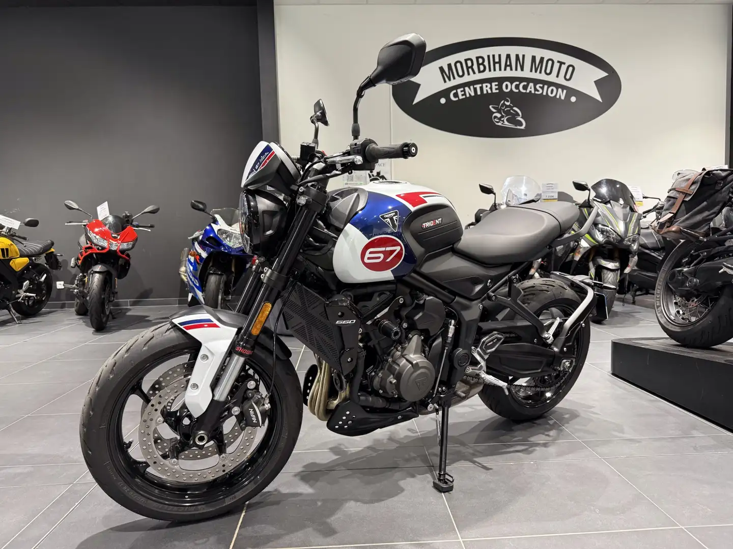 Triumph Trident 660 Bianco - 1