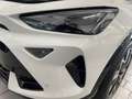 CUPRA Formentor 2.0 TSI 4Drive VZ *AHK*SENNHEISER*MATRIX* Weiß - thumbnail 6