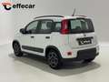 Fiat Panda 1.0 FireFly S&S Hybrid Sport Bianco - thumbnail 4