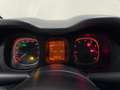 Fiat Panda 1.0 FireFly S&S Hybrid Sport Bianco - thumbnail 8