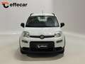 Fiat Panda 1.0 FireFly S&S Hybrid Sport Bianco - thumbnail 2