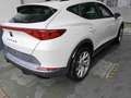 CUPRA Formentor 1.5 TSI DSG Weiß - thumbnail 3