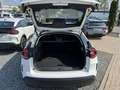 Citroen C4 Lim. Shine Weiß - thumbnail 9