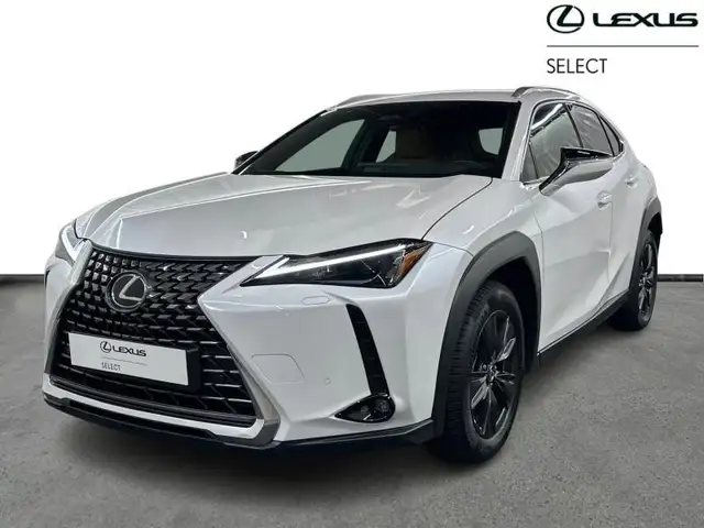 Lexus UX 250h 300h Business Line