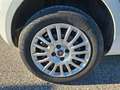 Fiat Punto Punto III 2012 5p 1.4 natural power Lounge Wit - thumbnail 24