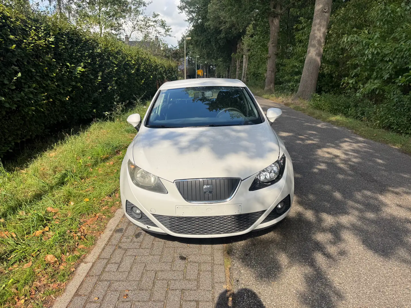 SEAT Ibiza 1.2 tdi Wit - 2