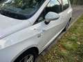 SEAT Ibiza 1.2 tdi Wit - thumbnail 10