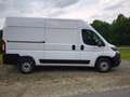 Fiat Ducato L2H2 35 140 Multijet Sicht-Paket,260°,RFK Blanc - thumbnail 5