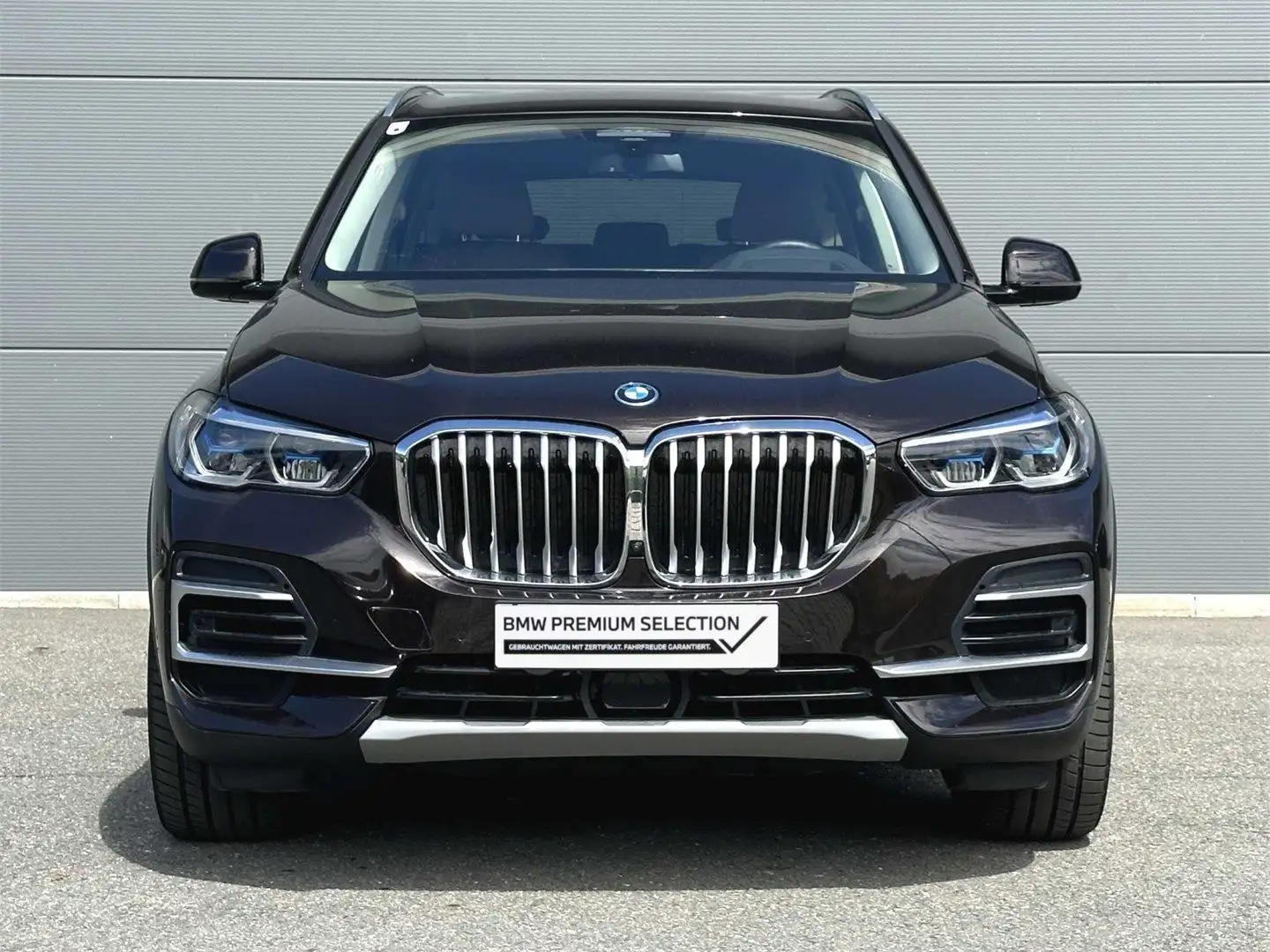 BMW X5 xDrive45e Bruin - 2