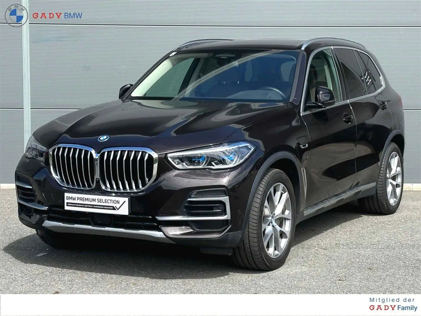 BMW X5 xDrive45e Braun - 1