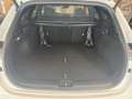 Kia Ceed SW / cee'd SW CEED_SW 1.5T DCT7 GTL TEC LEDER GD 18Z Weiß - thumbnail 16