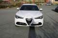 Alfa Romeo Stelvio Stelvio 2.2 Turbodiesel 210 CV AT8 Q4 Veloce White - thumbnail 2
