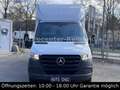 Mercedes-Benz Sprinter III Pritsche 317 CDI  LBW*Klima*Koffer* Weiß - thumbnail 2