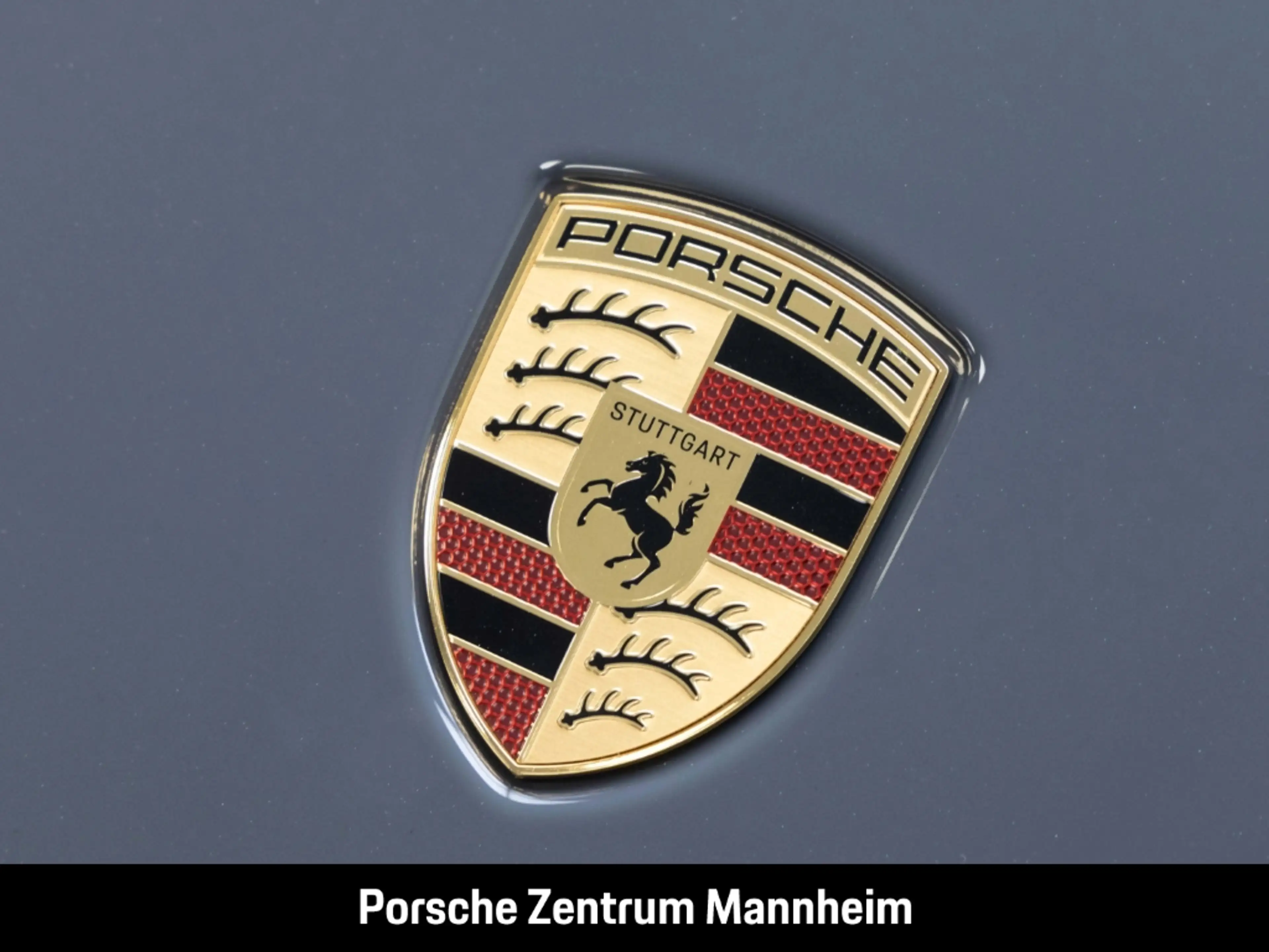 Porsche 992 -2 (911) Carrera — photo 12