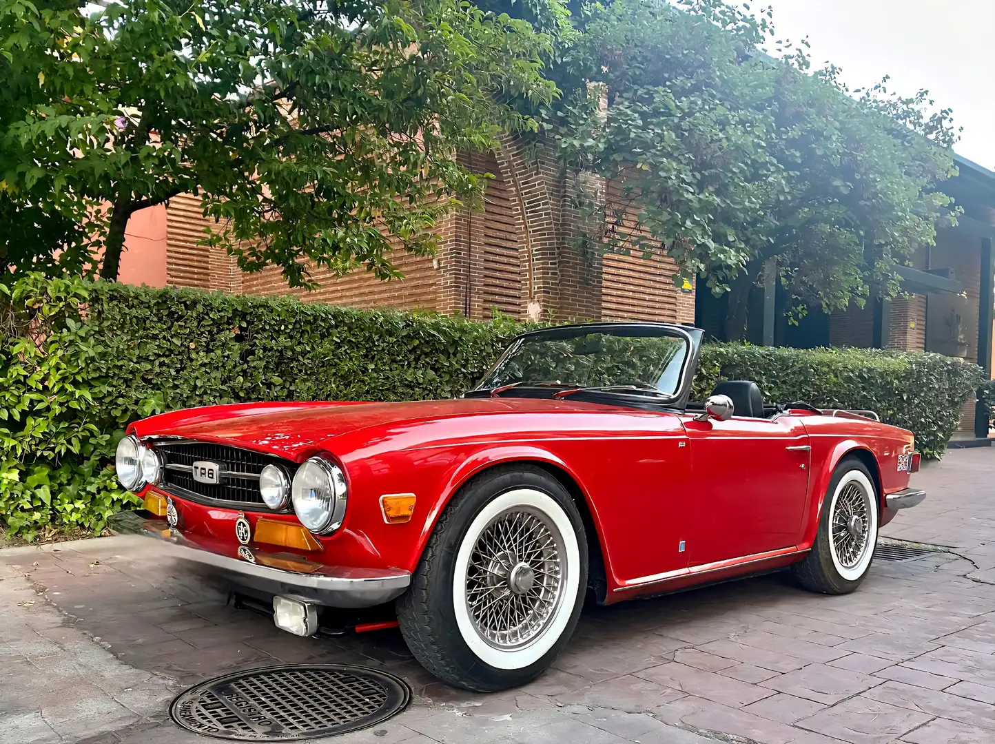 Triumph TR6 - 1