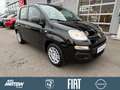 Fiat Panda Pandina Icon,PDC,DAB Schwarz - thumbnail 3