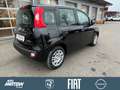Fiat Panda Pandina Icon,PDC,DAB Schwarz - thumbnail 4