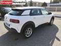 Citroen C4 Cactus PureTech 110 S&S Feel Bianco - thumbnail 3