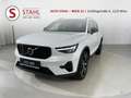 Volvo XC40 B3 Plus Dark Aut. | Stahl Wien 22 Weiß - thumbnail 1