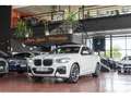 BMW X4 xDrive 20dA Blanco - thumbnail 31