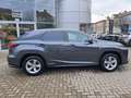 Lexus RX 450h F Sport zuverlässiger SUV*Top gepflegt Grau - thumbnail 6