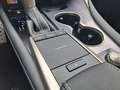 Lexus RX 450h F Sport zuverlässiger SUV*Top gepflegt Grau - thumbnail 18